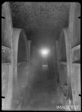 Cave à vin (Mendoza)